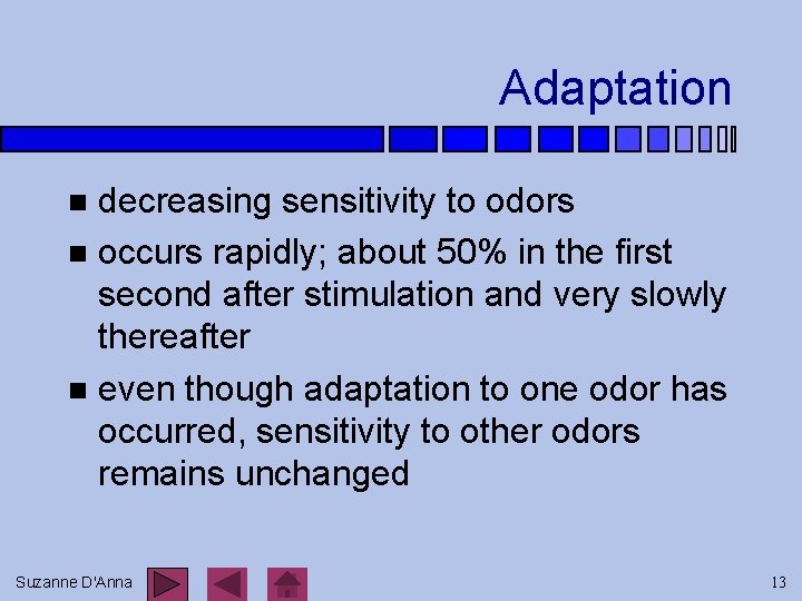 Adaptation decreasing sensitivity to odors n occurs rapidly; about 50% in the first second