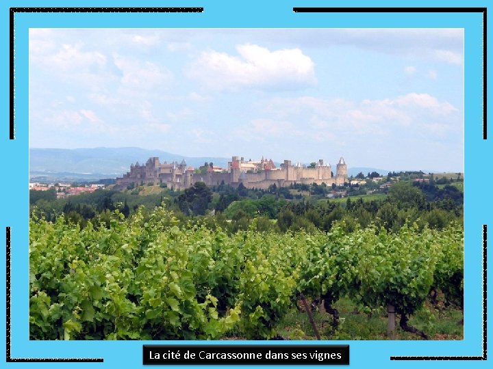 La cité de Carcassonne dans ses vignes 