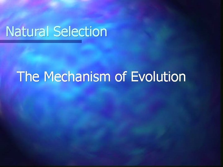 Natural Selection The Mechanism of Evolution 