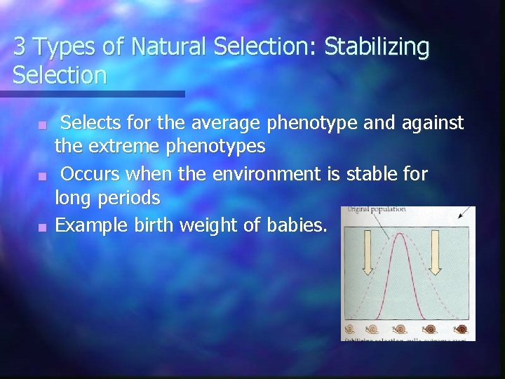 3 Types of Natural Selection: Stabilizing Selection Selects for the average phenotype and against