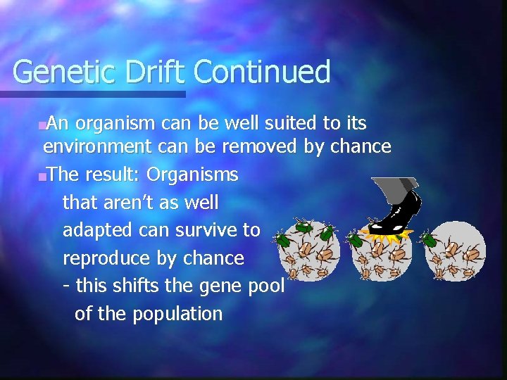 Genetic Drift Continued ■An organism can be well suited to its environment can be