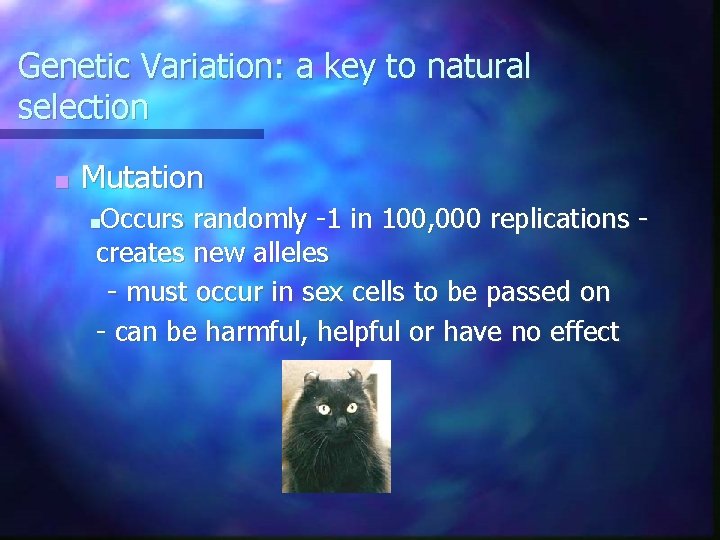Genetic Variation: a key to natural selection ■ Mutation ■Occurs randomly -1 in 100,
