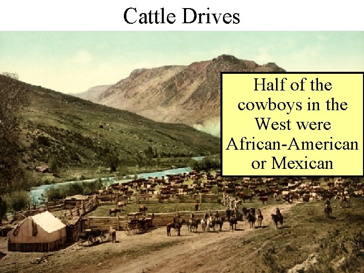 Cattle Drives Half of the cowboys in the West were African-American or Mexican 