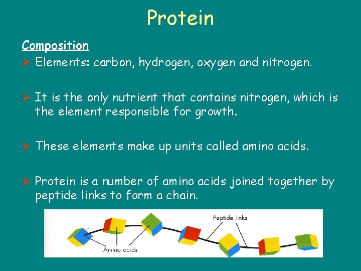 Protein Composition Ø Elements: carbon, hydrogen, oxygen and nitrogen. Ø It is the only