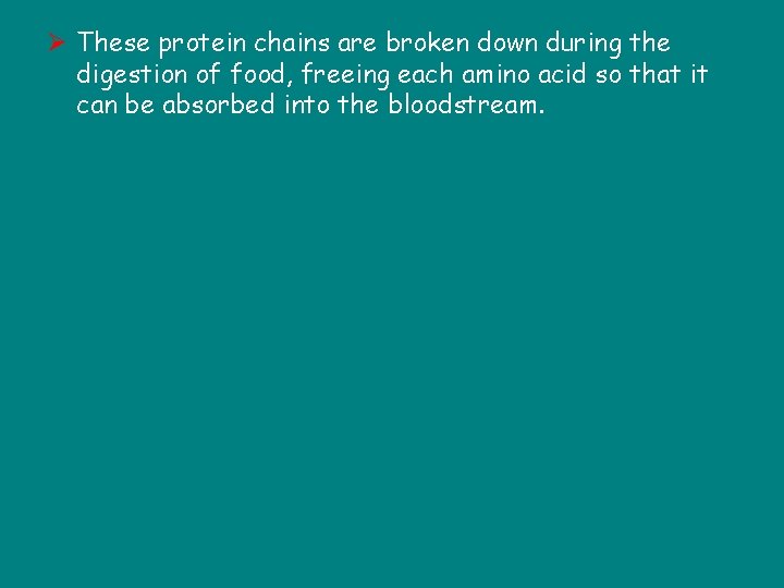 Ø These protein chains are broken down during the digestion of food, freeing each