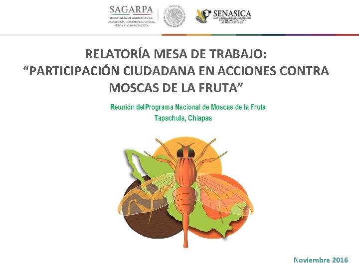 RELATORÍA MESA DE TRABAJO: “PARTICIPACIÓN CIUDADANA EN ACCIONES CONTRA MOSCAS DE LA FRUTA” ESPACIO