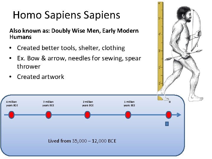 Homo Sapiens Also known as: Doubly Wise Men, Early Modern Humans • Created better