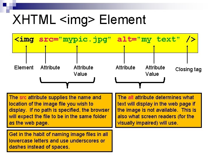 XHTML <img> Element <img src="mypic. jpg" alt="my text" /> Element Attribute Value The src