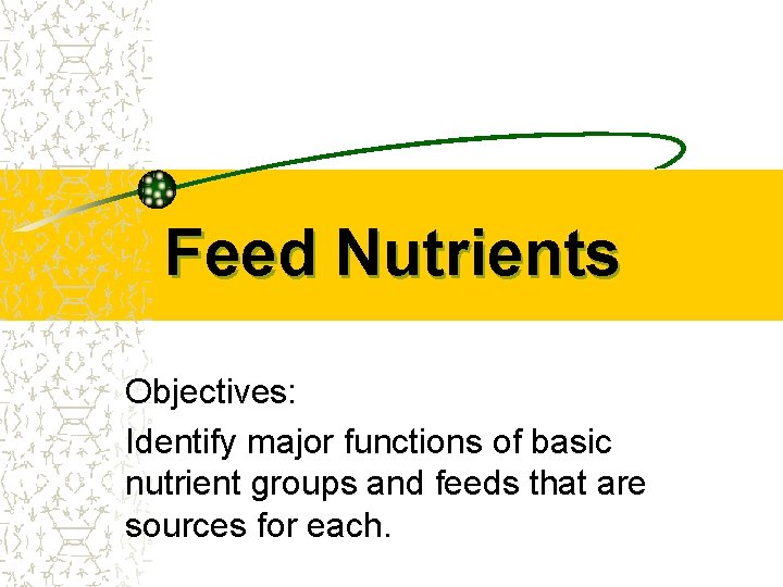 Feed Nutrients Objectives: Identify major functions of basic nutrient groups and feeds that are