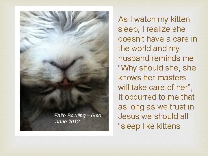 Faith Bowling – 6 mo June 2012 As I watch my kitten sleep, I