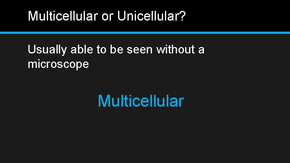 Multicellular or Unicellular? Usually able to be seen without a microscope Multicellular 