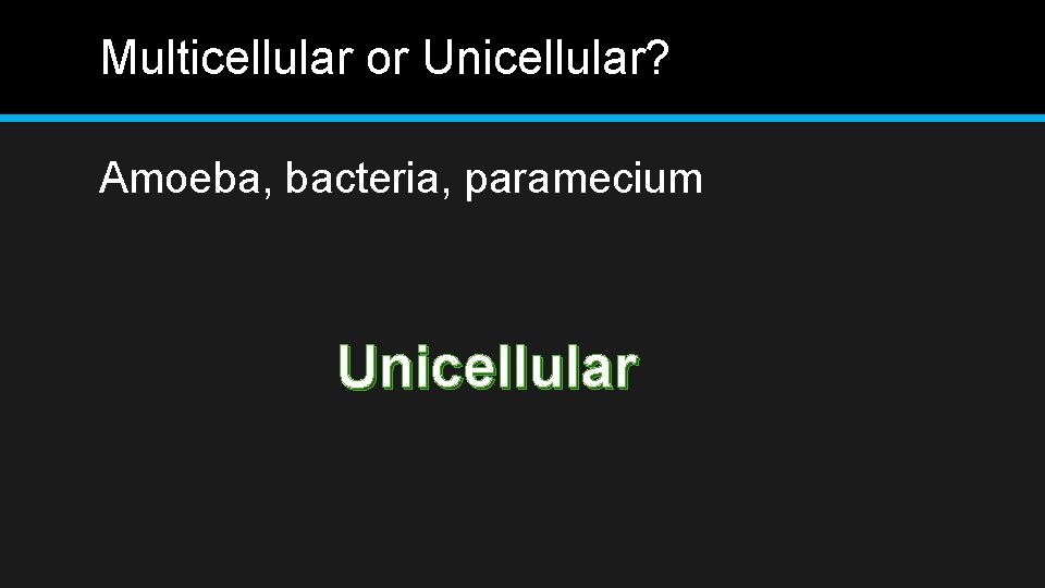 Multicellular or Unicellular? Amoeba, bacteria, paramecium Unicellular 