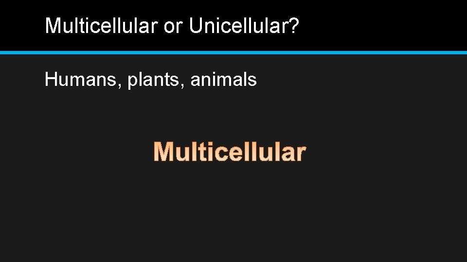 Multicellular or Unicellular? Humans, plants, animals 