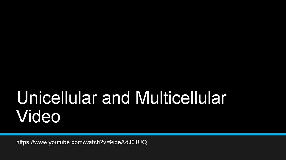 Unicellular and Multicellular Video https: //www. youtube. com/watch? v=9 iqe. Ad. J 01 UQ