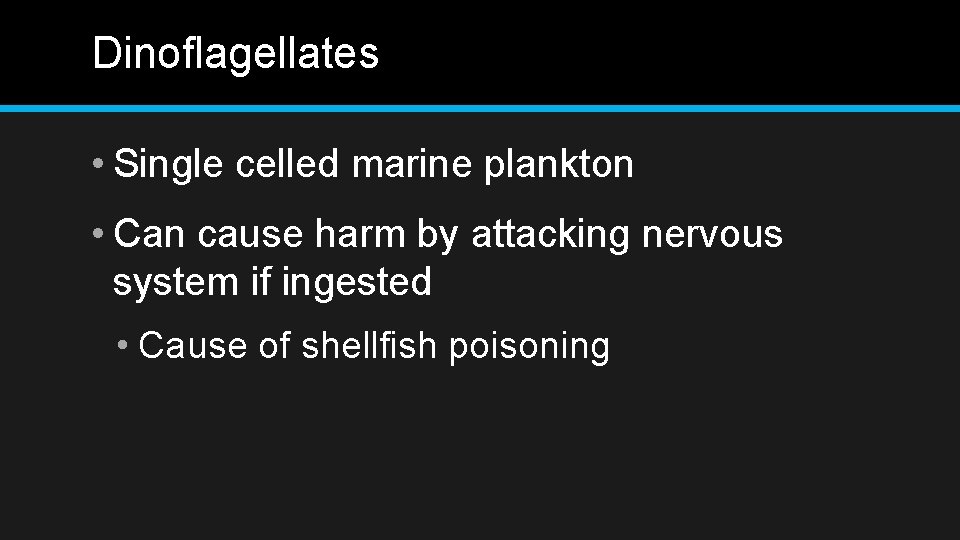 Dinoflagellates • Single celled marine plankton • Can cause harm by attacking nervous system