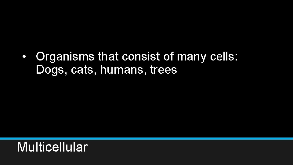  • Organisms that consist of many cells: Dogs, cats, humans, trees Multicellular 