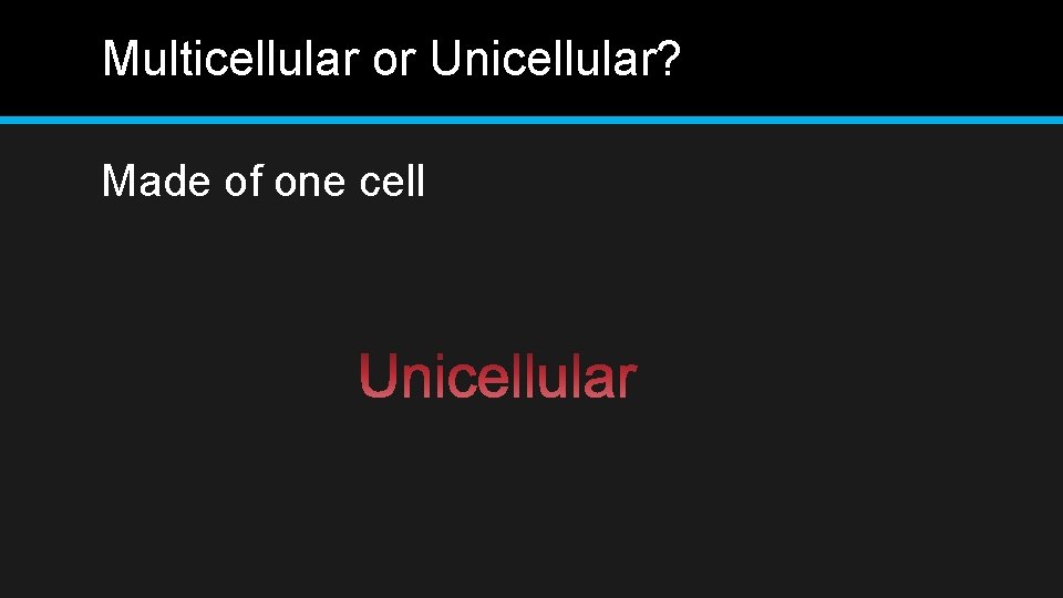 Multicellular or Unicellular? Made of one cell 