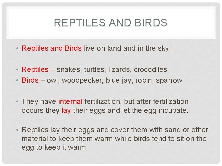 REPTILES AND BIRDS • Reptiles and Birds live on land in the sky. •
