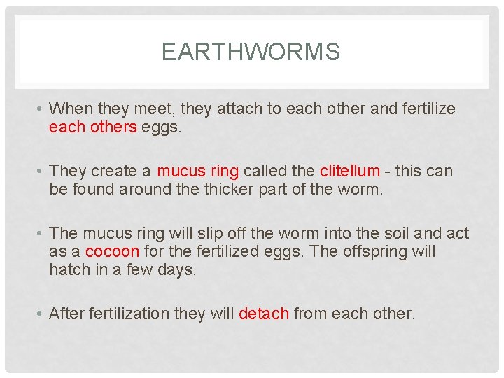 EARTHWORMS • When they meet, they attach to each other and fertilize each others