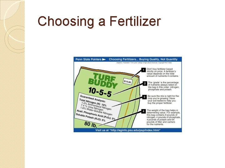 Choosing a Fertilizer 