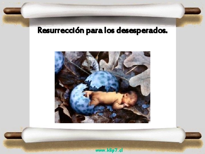 Resurrección para los desesperados. www. klip 7. cl 