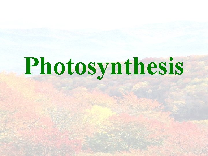 Photosynthesis 