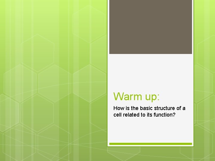 Warm up: How is the basic structure of a cell related to its function?