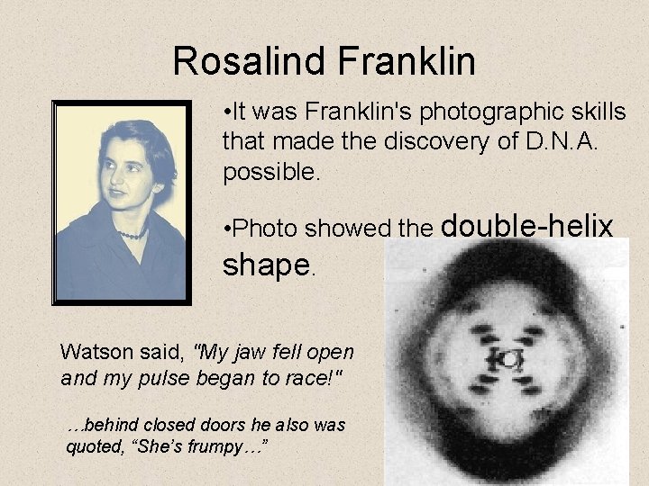 Rosalind Franklin • It was Franklin's photographic skills that made the discovery of D.