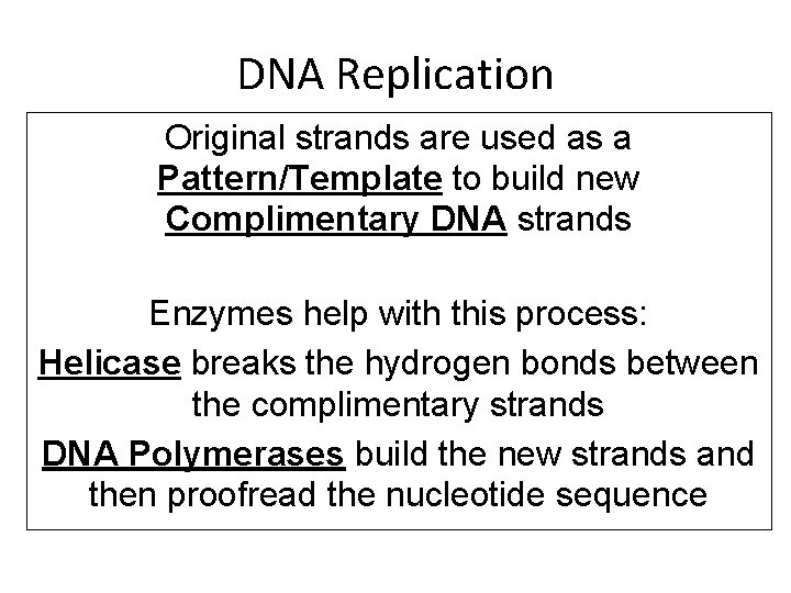 DNA Replication Original strands are used as a Pattern/Template to build new Complimentary DNA