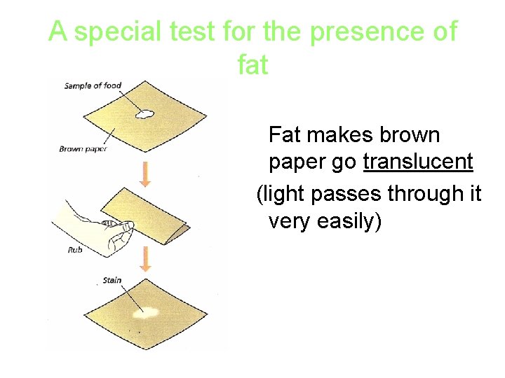 A special test for the presence of fat Fat makes brown paper go translucent
