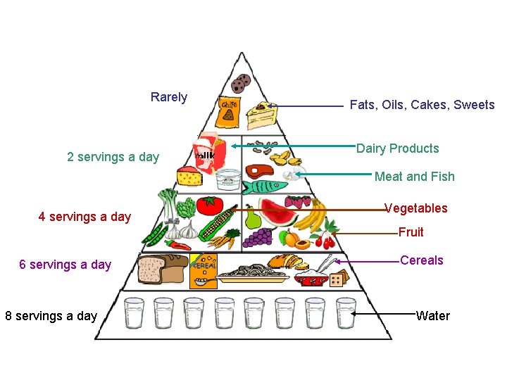 Rarely 2 servings a day Fats, Oils, Cakes, Sweets Dairy Products Meat and Fish