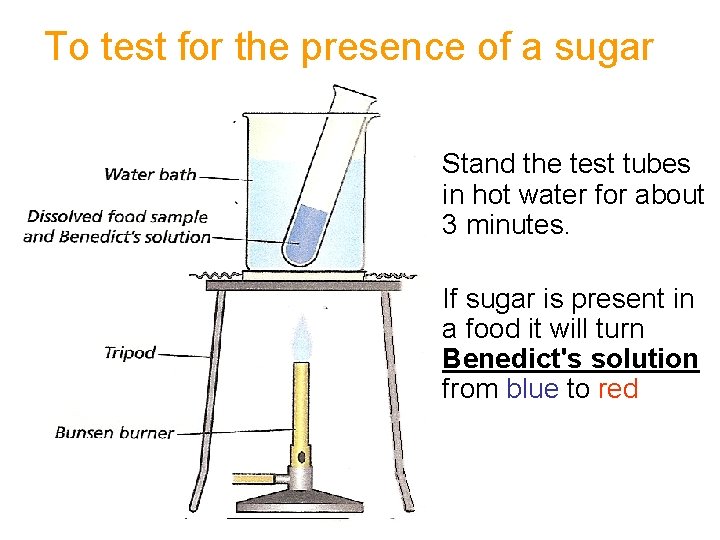 To test for the presence of a sugar • Stand the test tubes in