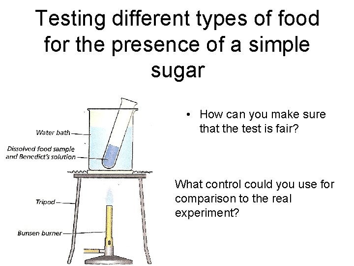Testing different types of food for the presence of a simple sugar • How