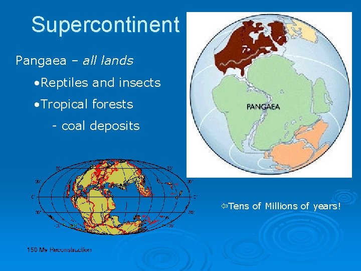 Supercontinent Pangaea – all lands • Reptiles and insects • Tropical forests - coal