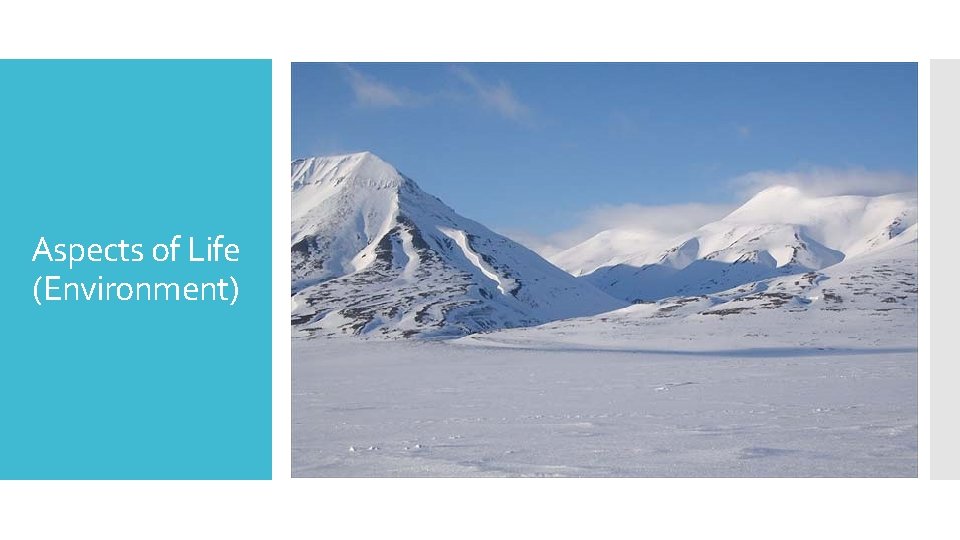 Aspects of Life (Environment) 