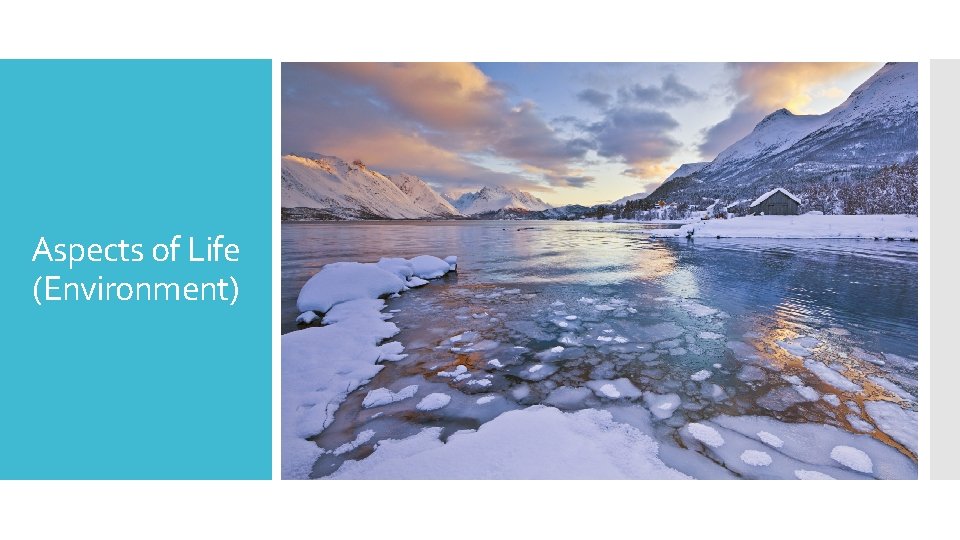 Aspects of Life (Environment) 