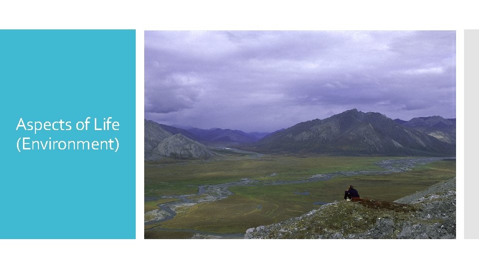 Aspects of Life (Environment) 
