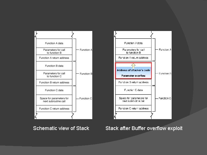 Schematic view of Stack after Buffer overflow exploit 