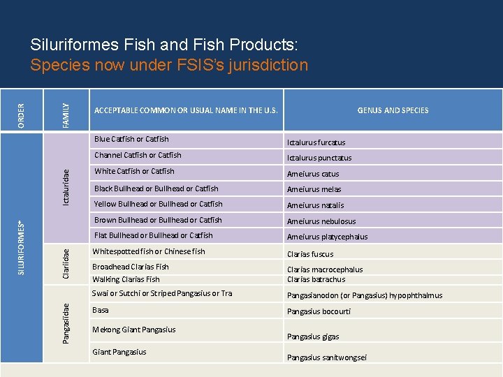 FAMILY Clariidae Pangasiidae SILURIFORMES* Ictaluridae ORDER Siluriformes Fish and Fish Products: Species now under