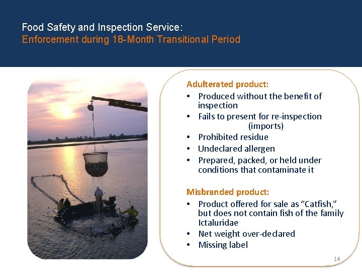 Food Safety and Inspection Service: Enforcement during 18 -Month Transitional Period Adulterated product: •