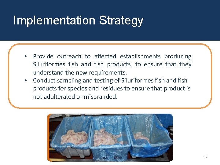 Implementation Strategy • Provide outreach to affected establishments producing Siluriformes fish and fish products,