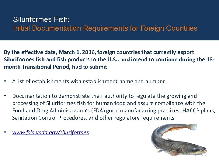 Siluriformes Fish: Initial Documentation Requirements for Foreign Countries By the effective date, March 1,