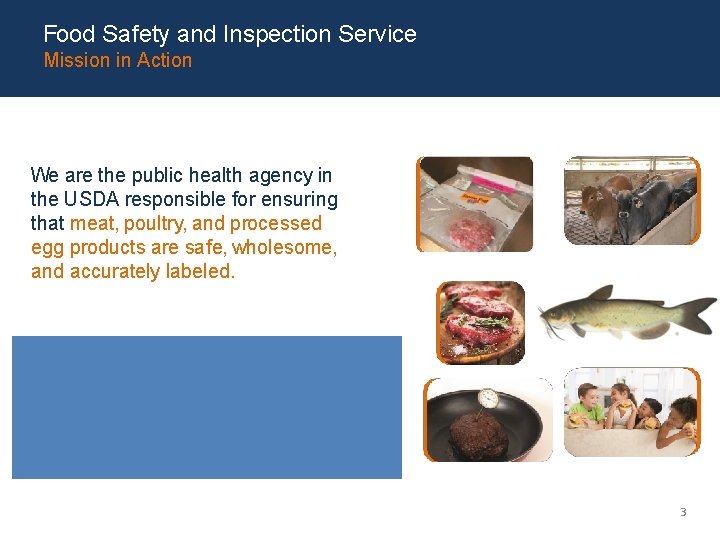 Food Safety and Inspection Service Mission in Action We are the public health agency