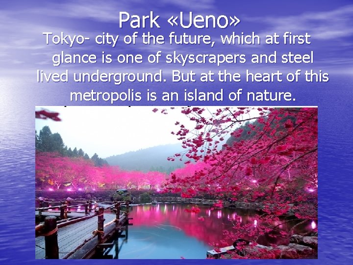 Park «Ueno» Tokyo- city of the future, which at first glance is one of