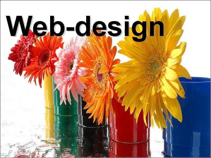 Web-design 
