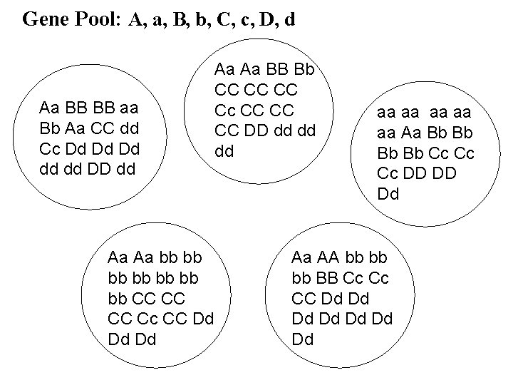 Gene Pool: A, a, B, b, C, c, D, d Aa BB BB aa