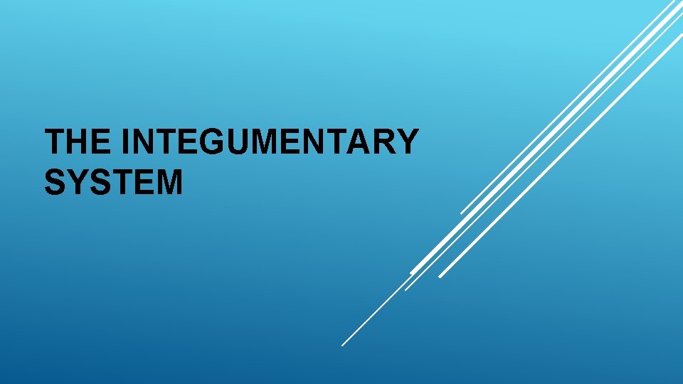 THE INTEGUMENTARY SYSTEM THE INTEGUMENTARY SYSTEM