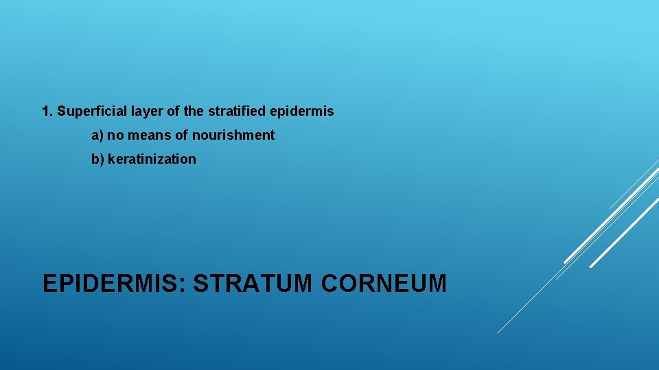 1. Superficial layer of the stratified epidermis a) no means of nourishment b) keratinization 1. Superficial layer of the stratified epidermis a) no means of nourishment b) keratinization