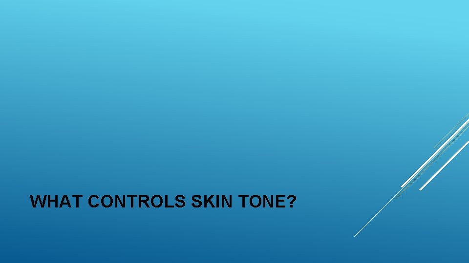 WHAT CONTROLS SKIN TONE? WHAT CONTROLS SKIN TONE?
