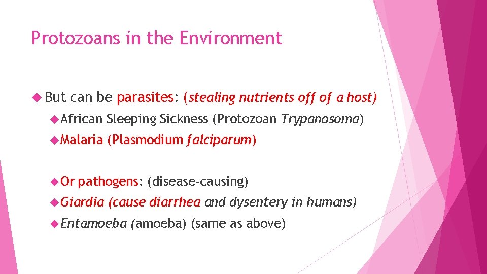 Protozoans in the Environment But can be parasites: (stealing nutrients off of a host)